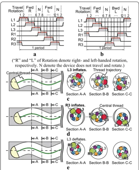 Table 1 Relationships between helical direction, locomotion, and rotation