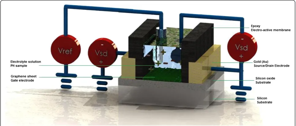 Figure 2 Schematic of the proposed structure and the electrical circuit of graphene based-ISFET for pH detection.