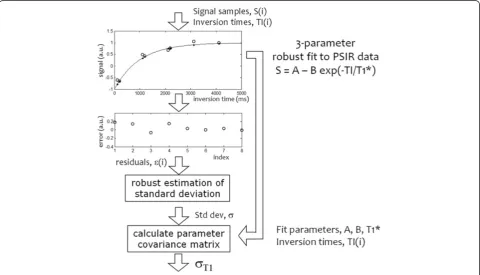 Figure 2 Pixel-wise calculation of SD values based on fit residuals.