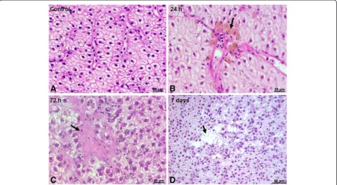 Figure 3 Effects of silicon-based QDs on lipid peroxidation inCarassius gibelio liver
