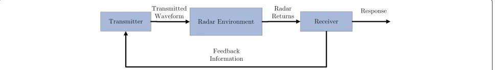 Fig. 1 Cognitive radar in its most basic form