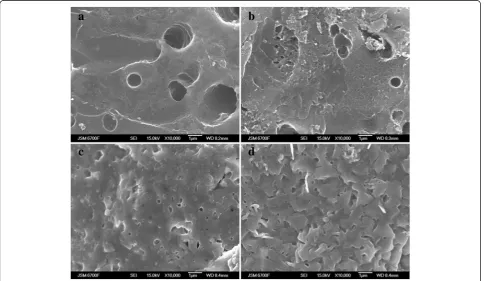 Figure 1 The microstructure of sample surfaces of С31 (а), С32 (b), С33 (c), and С34 (d).