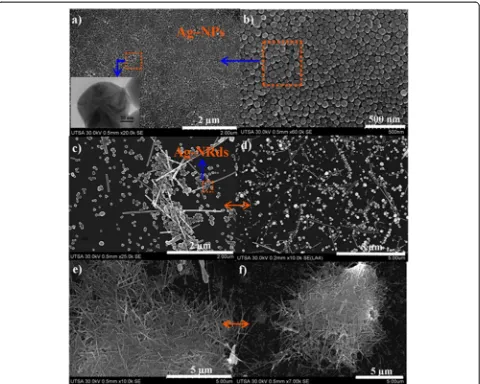 Figure 1 Micrographs of Ag-NWs and NPs obtained through MAH for 20% reactor filling capacity