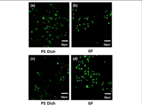 Figure 6 Fluorescence microscopy images of live and dead NIH-3T3 (a,b) and KB (c,d) cells