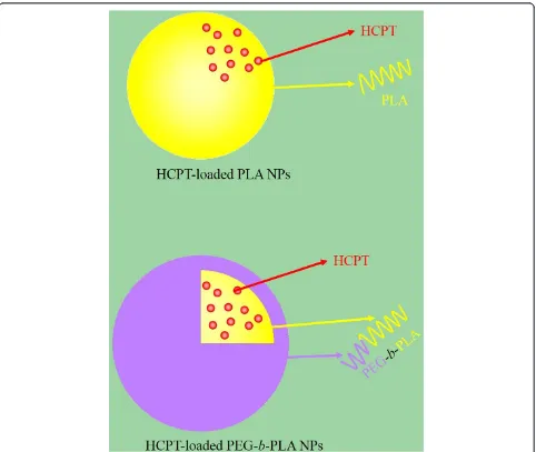 Figure 1 Schematic representations of HCPT-loaded PLA NPs and HCPT-loaded PEG-b-PLA NPs.