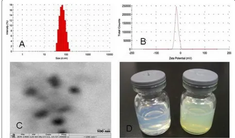 Figure 4 Size (A), zeta potential (B), TEM (C), and colloidal solution (D) of Qu-PMs.