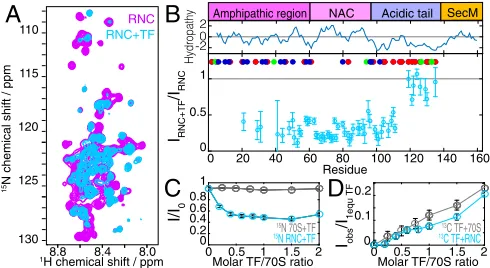 Fig. 2.Thethrough 1H linewidth analysis of the αSyn RNC. (A) The 1H cross-sections 1H-15N SOFAST-HMQC spectra (δN113.15 ppm, Fig