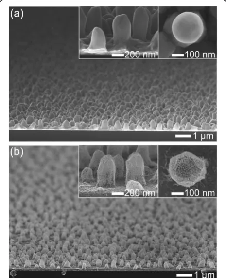 Figure 3 shows the typical bright field TEM (BFTEM)