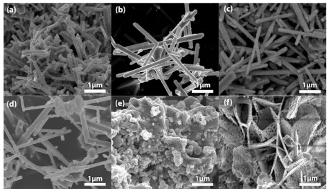 Figure 2 SEM images of TiO2 samples with different Co concentrations. (a) Undoped, (b) 0.5, (c) 1, (d) 3, (e) 5 and (f) 10 at% Co.
