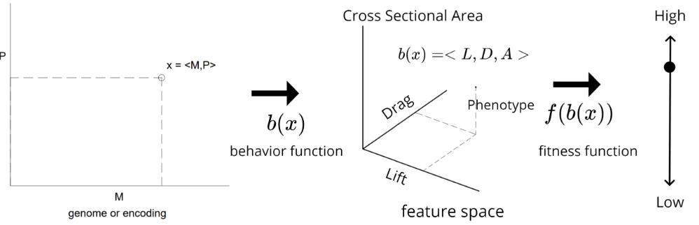 Figure 1: Process of moving from an individual genome to a ﬁtness score.