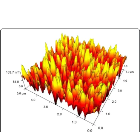 Figure 2 Cross section of the black silicon produced by metal-assisted chemical wet etching