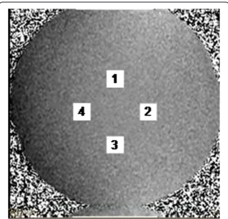 Figure 4 (Scanner 3) The ROI mean values on each of the 5scans in each weekly session, for weeks 1–8.