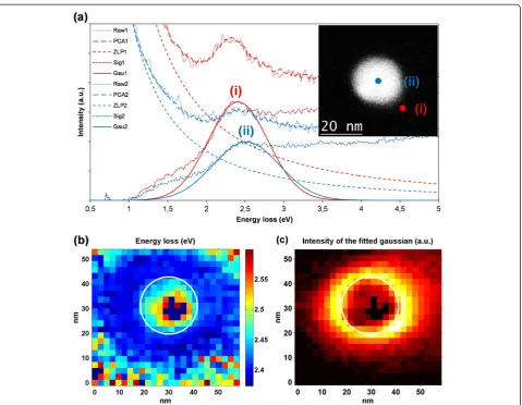 Figure 1 Electron energy loss spectra (a) and energy loss (b) and amplitude (c) maps. (a) Electron energy loss spectra of a 26-nm goldnanosphere linked through DNA strands to a Si3N4 membrane; the inset shows an HAADF image of the nanoparticle