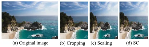 Figure 1: Image (a) is reduced to 50% of its originalwidth using cropping, scaling and seam carving