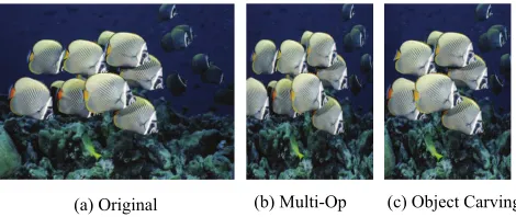 Figure 4: Example where seam carving is not thebest option.However when seam carving is com-bined with cropping it performs the best (d)