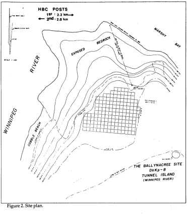 Figure 2. Site plan. 