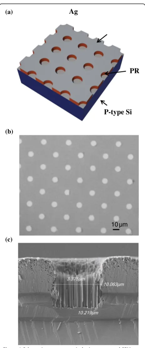 Figure 1 Schematic structure, optical microscopy, and SEMcross-section photograph. (a) The schematic structure of lift-offprocess to make micro/nano-holes by metal catalyst