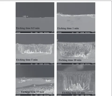 Figure 2 The cross-sectional SEM images for the nano/micro-hole array. Etching time of 0.5, 1, 5, 10, and 15 min.