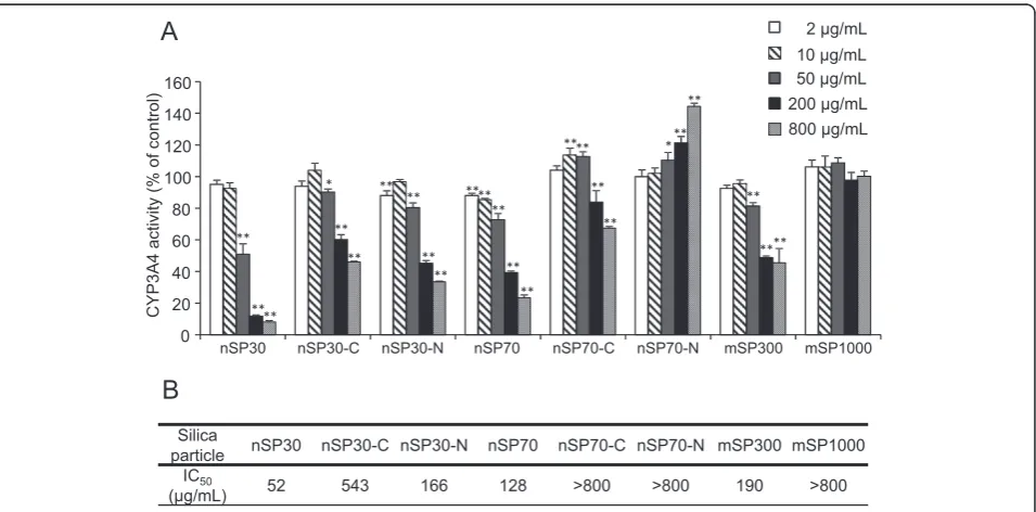 Figure 1 Effect of silica particles on CYP3A4 activity in HLMs. (A) Silica particles were incubated with HLMs for 10 min