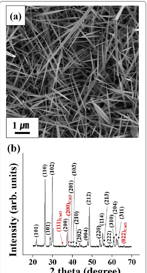 Figure 1 SEM image (a) and XRD patterns (b) of TeO2/CuOcore-shell nanorods.