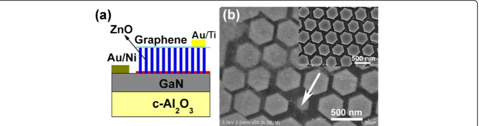 Figure 2 Schematic structure of the LEDs and SEM image of the ZnO nanorod array. (a)LEDs with graphene as the current spreading layer