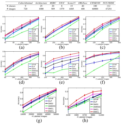 ATABLE IN OVERVIEW OF ADOPTED DATASETS.