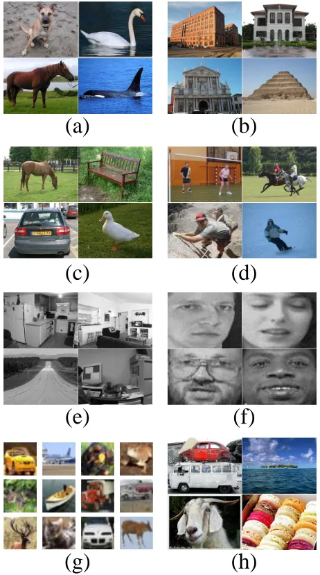 Fig. 3. The selected simplest images during the entire propagation process. It can be observed that the difﬁculty level of curriculum images gradually increaseswith the propagation proceeds.