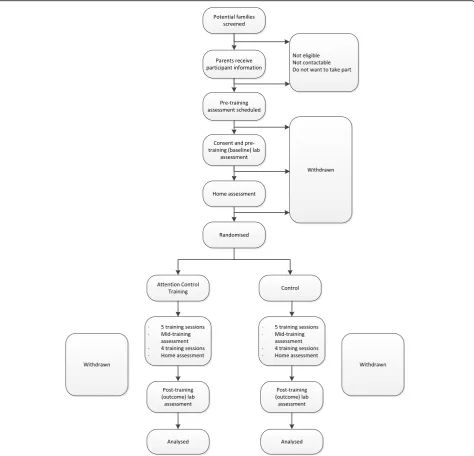 Fig. 2 Consolidated Standards of Reporting Trials (CONSORT) flow diagram