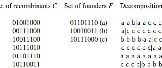 Figure 1. Haloptye sequences as recombinants, which are supposed to be originated from a set of 3 predefined founder sequences using a decomposition with 8 breakpoints