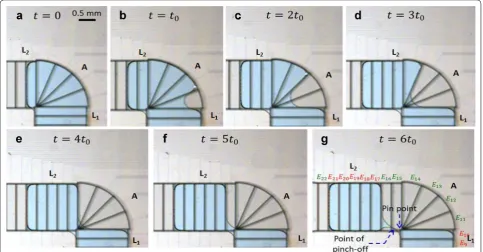 Fig. 2 Steps of droplet dispensing process in L-junction device.  t0 is the time interval between electrodes turned on and off