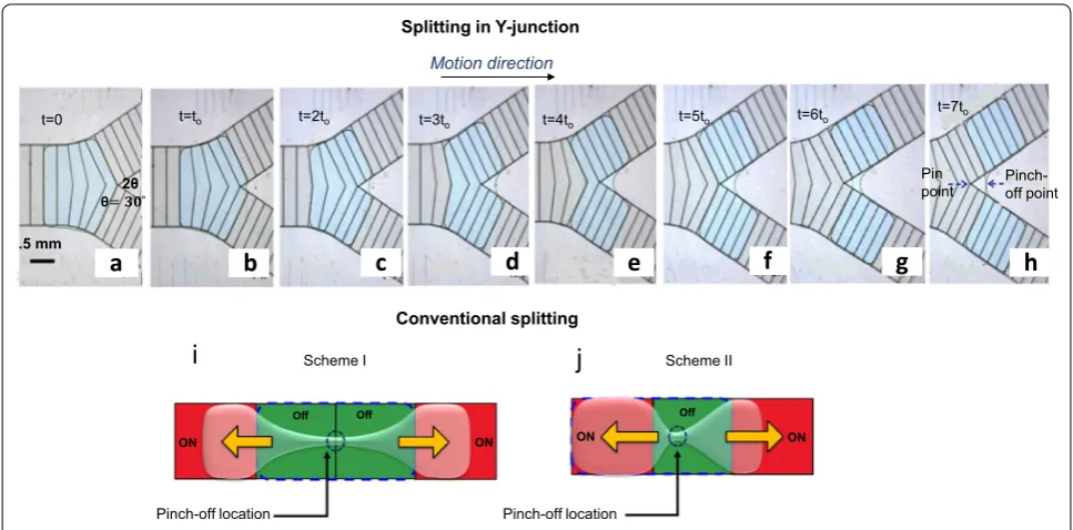 Fig. 4 a–h Steps of the process of splitting a droplet by Y-junction with switching time (t0)