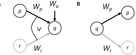 Fig 1. A. Common effect structure with a noisy-OR integration rule. B. Common cause structure.doi:10.1371/journal.pone.0167741.g001