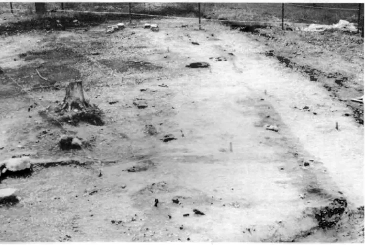 Fig. 21- 1971 Excavations near Fort Michilimackinac.. -Michig~n State University photo