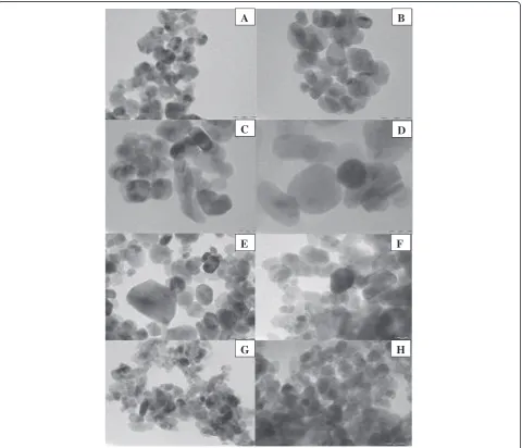 Figure 1 Typical TEM images of the mesoporous ZnO samples synthesized using different concentrations of NaOH