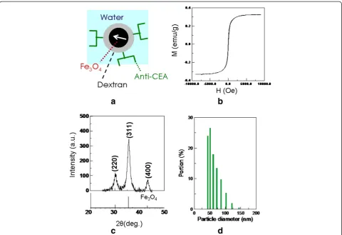 Figure 1 Characterization of anti-CEA MFs. (a)PXRD pattern of the crystalline SPIONPs