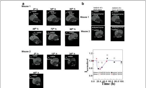 Figure 3 Comparison between ΔArea/Areamax by SSB andInormalized by MRI for mouse 1 and mouse 2.