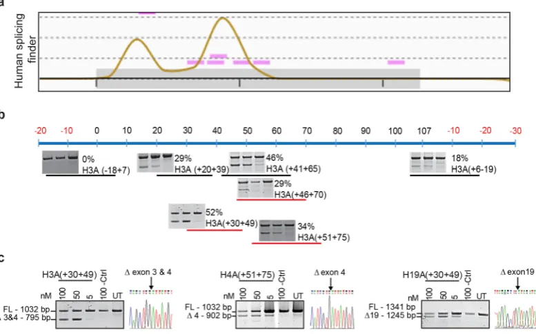 Figure 1. Design and experimental evaluation of ITGA4-targeting AOs. AOs designed to induce exon 3 skipping of the ITGA4 transcript are shown