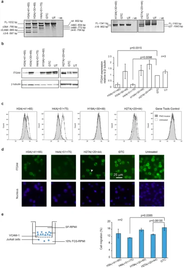 Figure 3. Evaluation of the best performing exon skipping PMOs in Jurkat cells. The ITGA4 transcript, ITGA4 protein expression and activity in Jurkat cells treated with indicated PMOs for three days were analysed