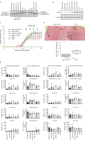 Figure 4. In vivo validation of peptide-conjugated PMOs (PPMOs) in the mouse EAE model of MS