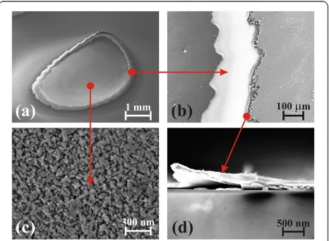 Figure 2 SEM micrographs of the irradiated AZO/Ag/AZOthe irradiated area,electrode. The laser irradiation is a single pulse, at a wavelength of1,064 nm, duration of 12 ns and energy fluence of 1.7 J/cm2