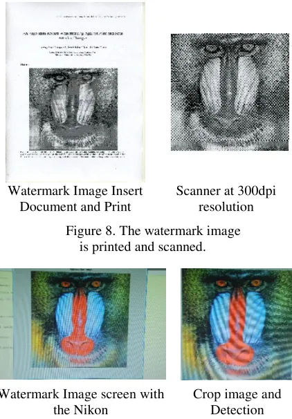 Figure 8. The watermark image  
