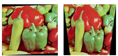 Figure 2. Example of local geometric distortion. Left: Original Image, Right: Local Random Bending Transform from Stirmark 