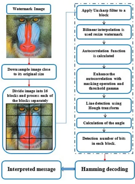 Figure 5. The Detection Scheme. 