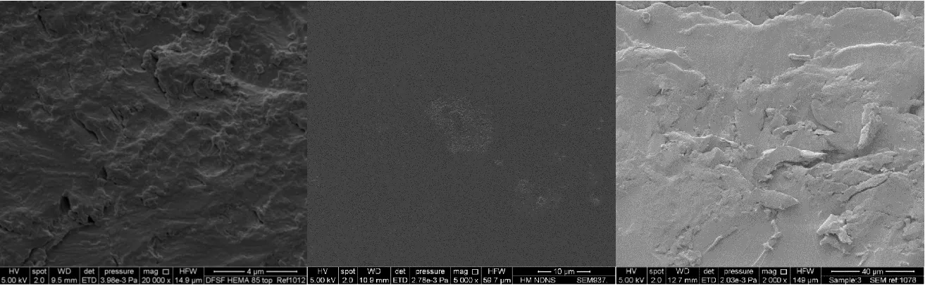 Figure 3: Scanning electron micrographs of the top surface (i.e. exposed to UV light), under surface (i.e