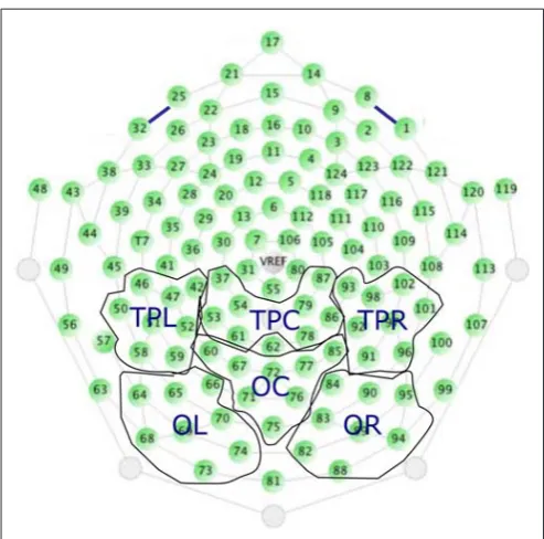 FIGURE 2 | The 48 posterior channels and their pre-deﬁned groupingsused for data analysis