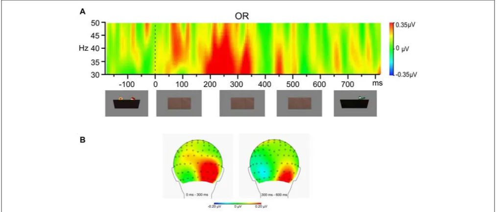 FIGURE 3 | Difference in gamma-band activity between 2-Objection condition and 1-Object condition during stimulus occlusion