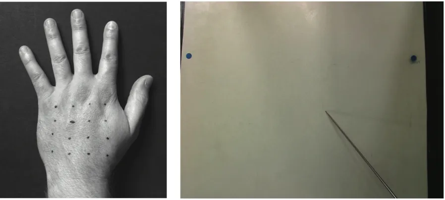Figure 1: Setup of the proprioceptive mapping task. Left panel: A 4x4 grid of locations was marked with pen on the back of the participant’s hand