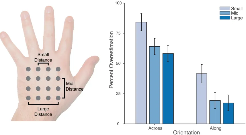 Figure 3: Left panel: Schematic depiction of the location of the 16 stimulus locations in the proprioceptive map task