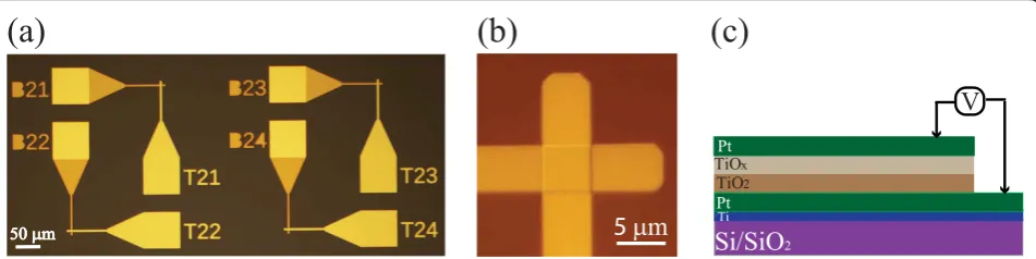 Figure 1 Optical microscope image, active area, and schematic of different devices. (a)device; Optical microscope image of a dense stand-alone (b) active area of a single 5 × 5 μm2 device; (c) schematic configuration of the Pt/TiO2/TiOx/Pt devices.