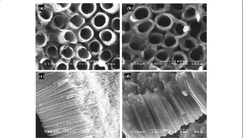 Figure 1 Morphology of as-formed TiO2nts and polymer-coated TiO2nts. SEM images of (a) top view of as-formed TiO2nts, (b) top view ofpolymer-coated TiO2nts, (c) cross section of as-formed TiO2nts, and (d) cross -section of polymer-coated TiO2nts.